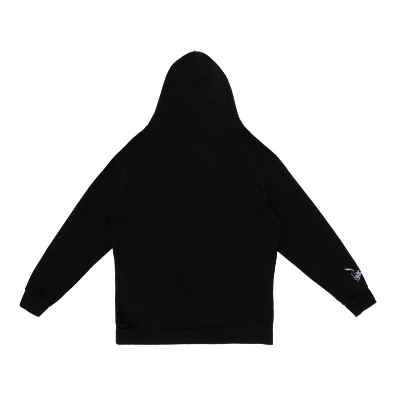 STARGATE CRYSTAL HOODIE